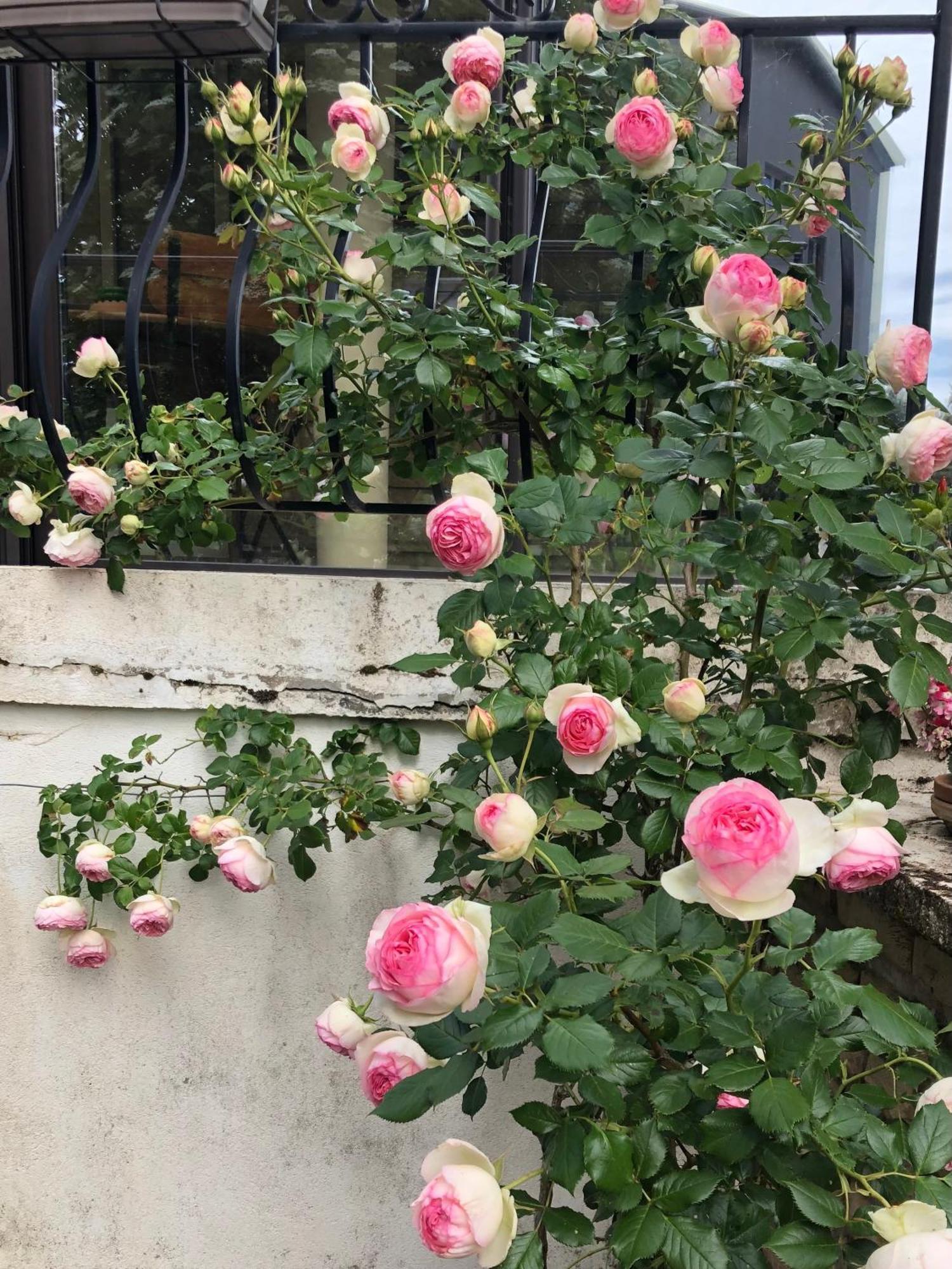 Le Jardin Des Verottes Beaune (Cote d'Or) Exterior foto